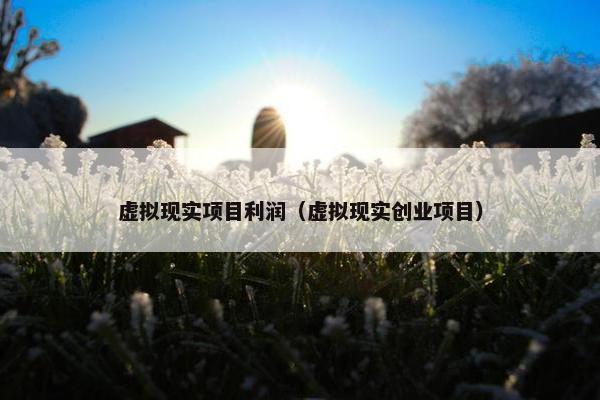 虚拟现实项目利润（虚拟现实创业项目）