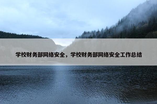 学校财务部网络安全，学校财务部网络安全工作总结