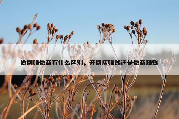 做网赚微商有什么区别，开网店赚钱还是微商赚钱