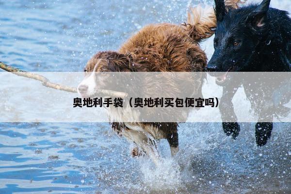 奥地利手袋（奥地利买包便宜吗）