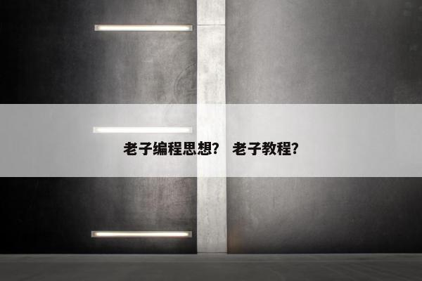 老子编程思想？ 老子教程？