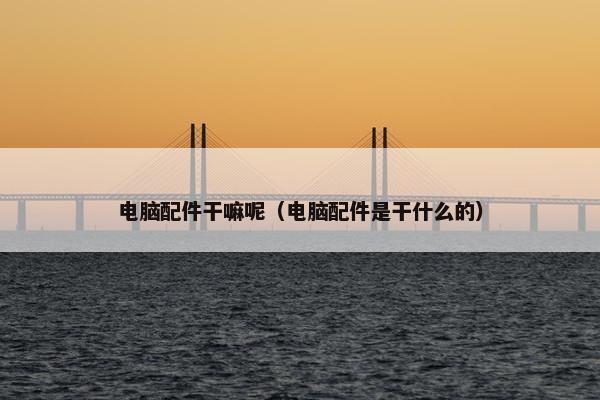 电脑配件干嘛呢（电脑配件是干什么的）