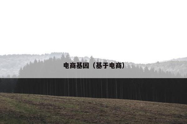 电商基因（基于电商）