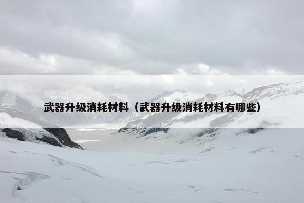 武器升级消耗材料（武器升级消耗材料有哪些）