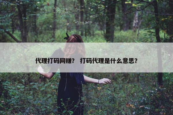 代理打码网赚？ 打码代理是什么意思？