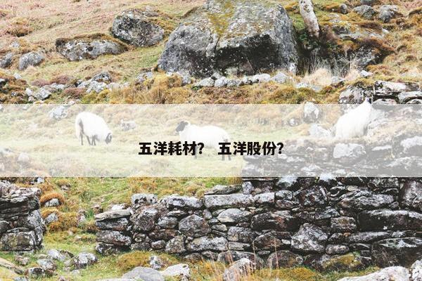 五洋耗材？ 五洋股份？