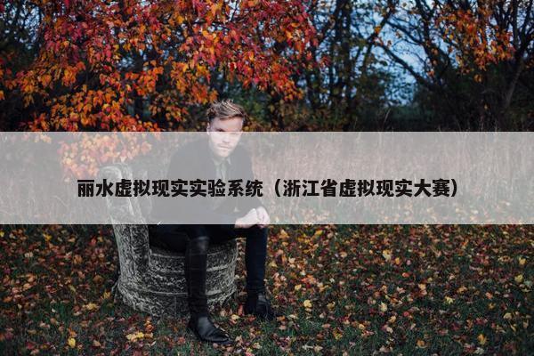 丽水虚拟现实实验系统（浙江省虚拟现实大赛）
