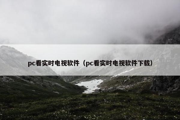pc看实时电视软件（pc看实时电视软件下载）