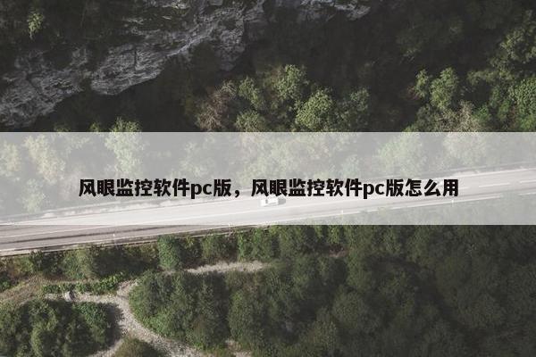风眼监控软件pc版，风眼监控软件pc版怎么用