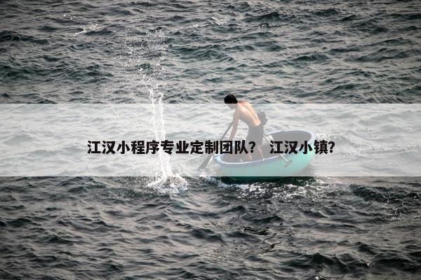 江汉小程序专业定制团队？ 江汉小镇？