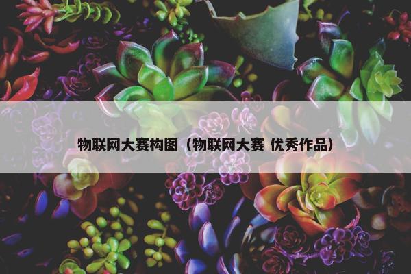 物联网大赛构图（物联网大赛 优秀作品）