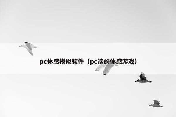 pc体感模拟软件（pc端的体感游戏）