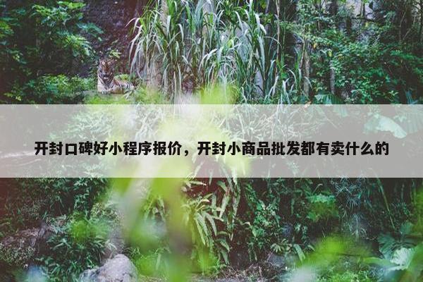 开封口碑好小程序报价，开封小商品批发都有卖什么的