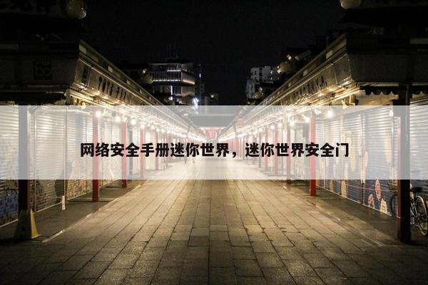 网络安全手册迷你世界，迷你世界安全门