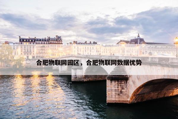 合肥物联网园区，合肥物联网数据优势