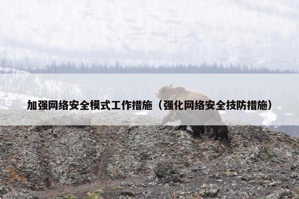 加强网络安全模式工作措施（强化网络安全技防措施）