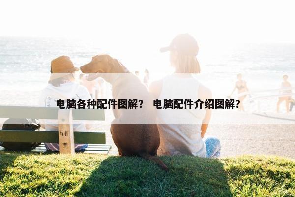 电脑各种配件图解？ 电脑配件介绍图解？