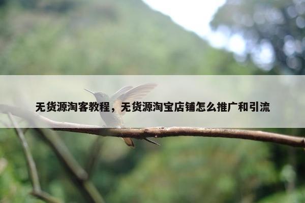 无货源淘客教程，无货源淘宝店铺怎么推广和引流