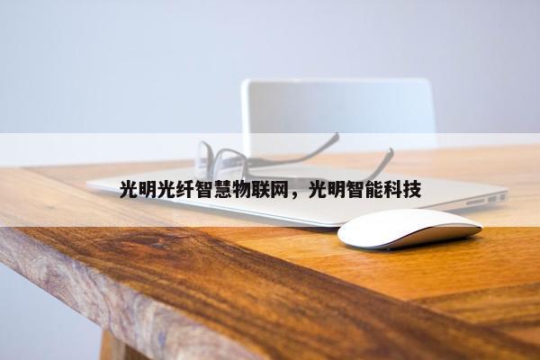 光明光纤智慧物联网，光明智能科技