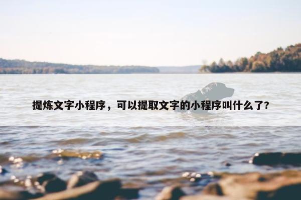 提炼文字小程序，可以提取文字的小程序叫什么了?