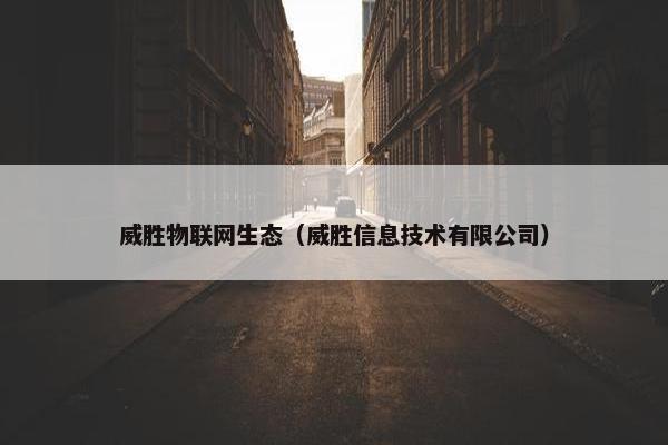 威胜物联网生态（威胜信息技术有限公司）