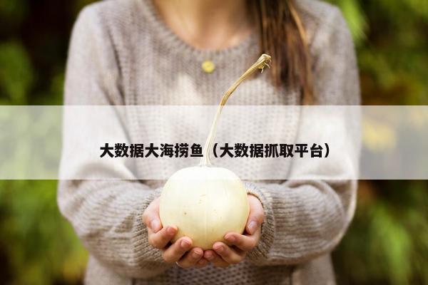 大数据大海捞鱼（大数据抓取平台）