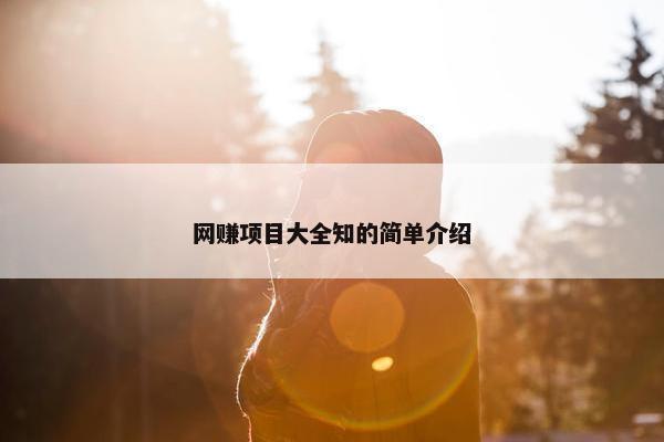 网赚项目大全知的简单介绍
