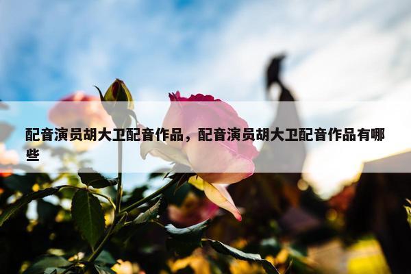 配音演员胡大卫配音作品，配音演员胡大卫配音作品有哪些