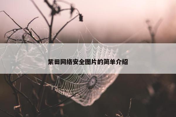 紫田网络安全图片的简单介绍