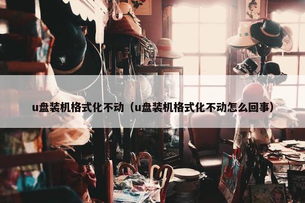 u盘装机格式化不动（u盘装机格式化不动怎么回事）