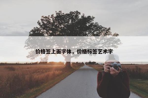 价格签上面字体，价格标签艺术字