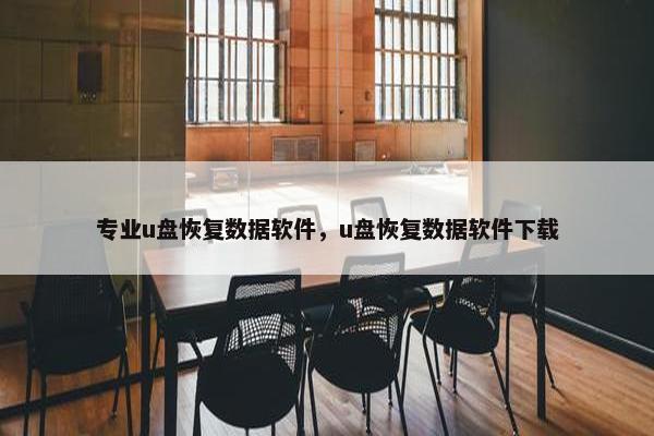 专业u盘恢复数据软件，u盘恢复数据软件下载