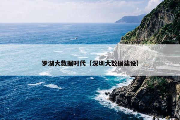 罗湖大数据时代（深圳大数据建设）
