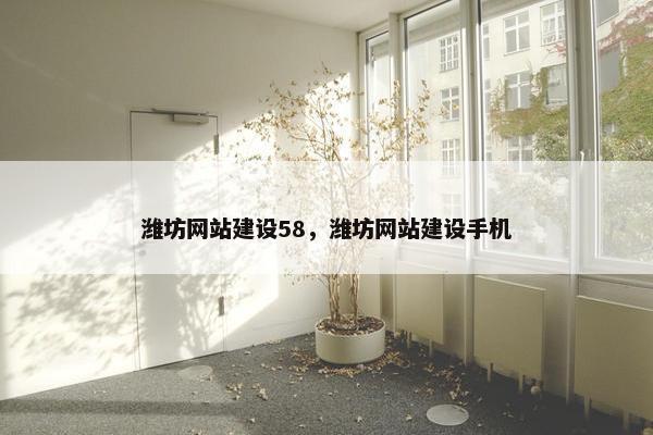 潍坊网站建设58，潍坊网站建设手机