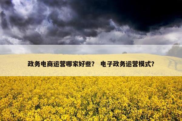 政务电商运营哪家好些？ 电子政务运营模式？