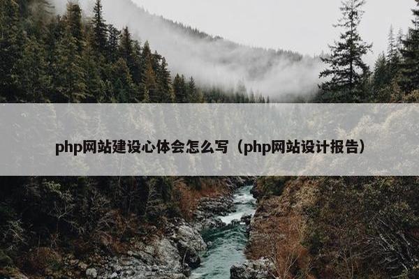 php网站建设心体会怎么写（php网站设计报告）