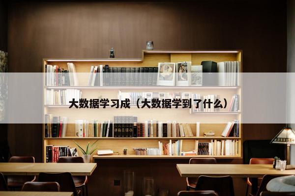 大数据学习成（大数据学到了什么）