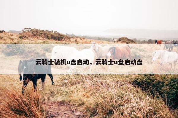 云骑士装机u盘启动，云骑士u盘启动盘