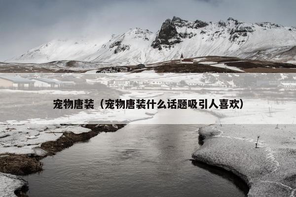 宠物唐装（宠物唐装什么话题吸引人喜欢）