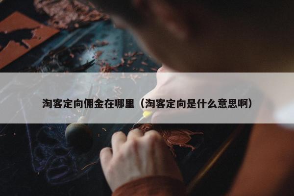 淘客定向佣金在哪里（淘客定向是什么意思啊）