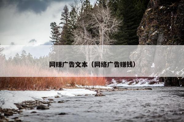 网赚广告文本（网络广告赚钱）
