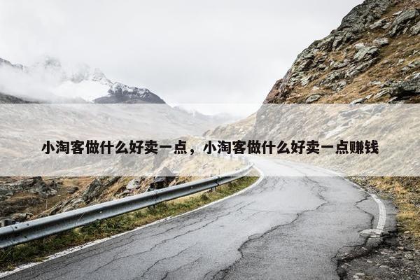 小淘客做什么好卖一点，小淘客做什么好卖一点赚钱