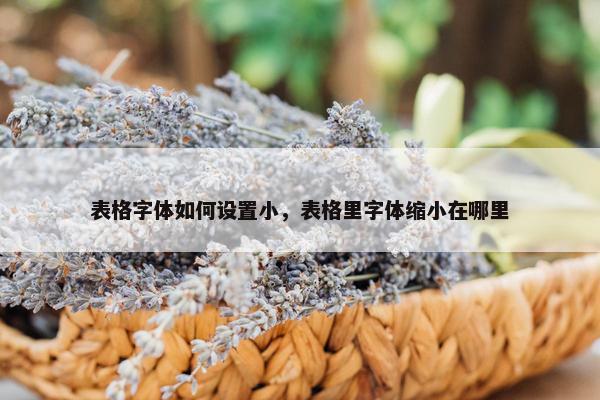 表格字体如何设置小，表格里字体缩小在哪里