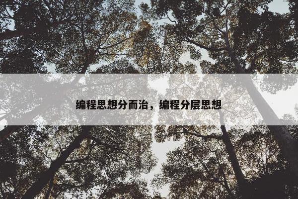 编程思想分而治，编程分层思想