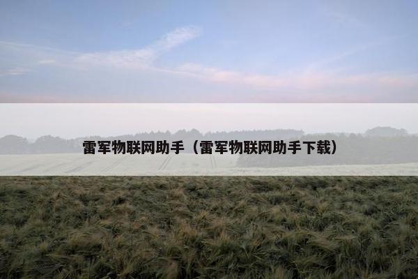 雷军物联网助手（雷军物联网助手下载）