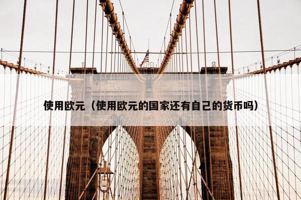 使用欧元（使用欧元的国家还有自己的货币吗）