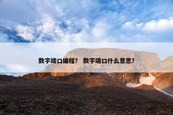数字端口编程？ 数字端口什么意思？