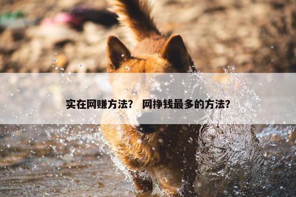 实在网赚方法？ 网挣钱最多的方法？