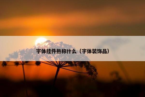 字体挂件熟称什么（字体装饰品）