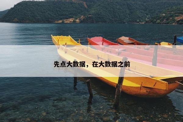 先点大数据，在大数据之前